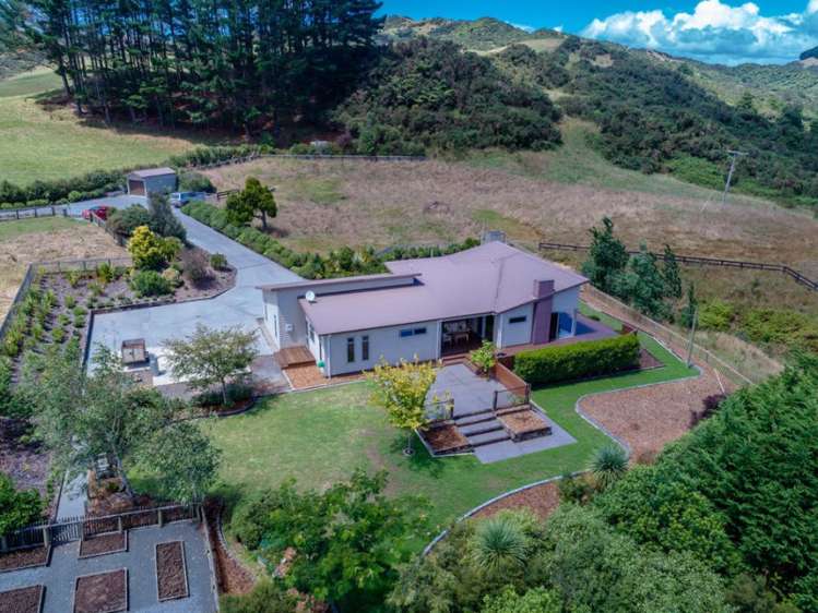 881 Old Mountain Road Raglan_5