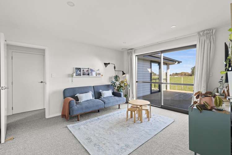 39 George Street Bulls_15