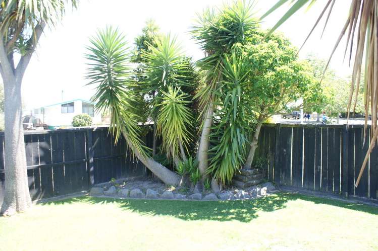 60 Awatapu Drive Whakatane_12