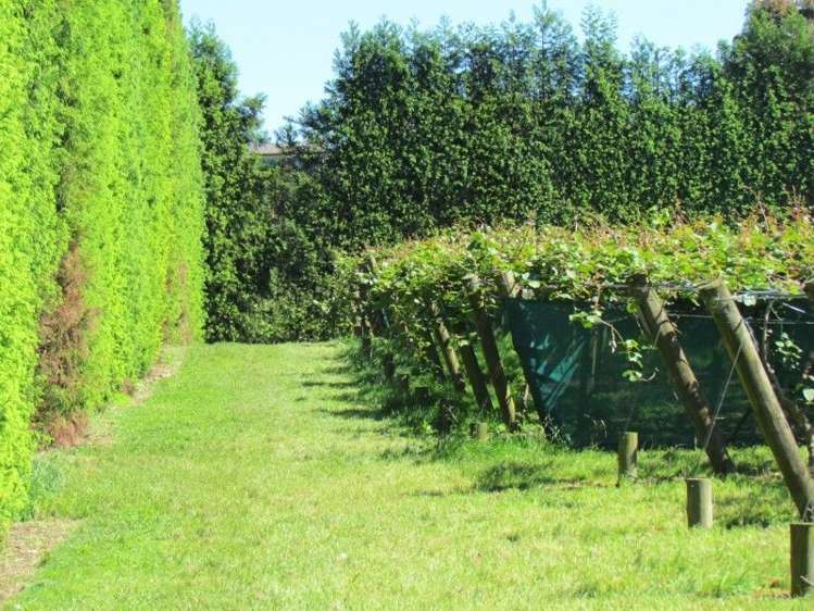 39 Sedgemoor Lane Hauraki Surrounds_14