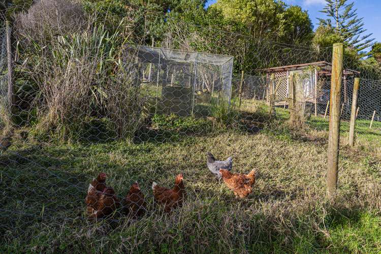 63a Pukenui Road Maunu_28