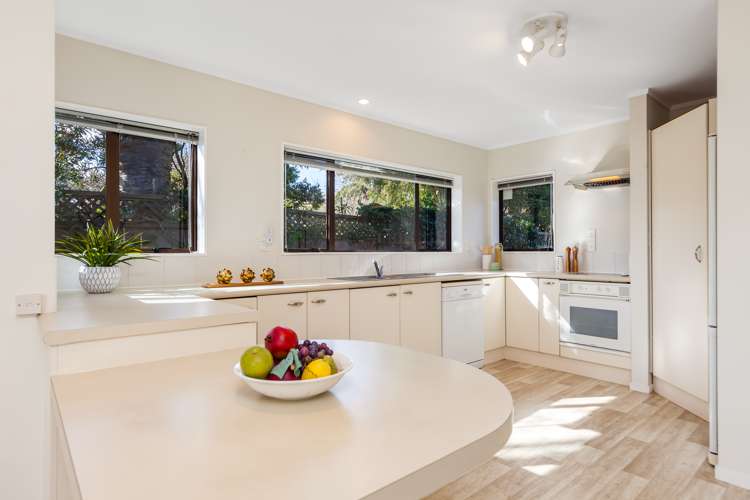 190a Campbell Road Greenlane_7