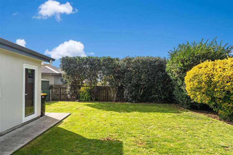 17 Maitland Avenue Stoke_8