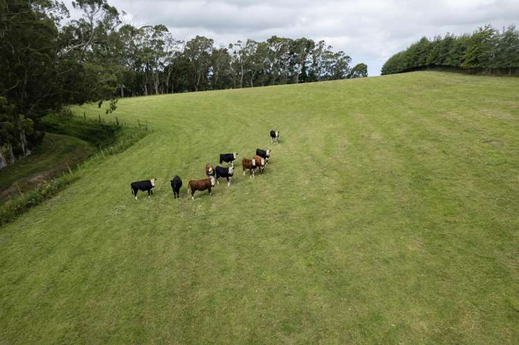 53 Horse Gully Road Papakaio_5