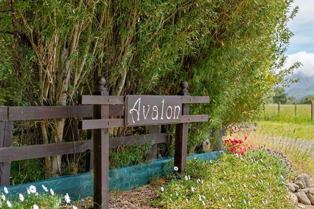 673a Upper Plain Road Upper Plain_4