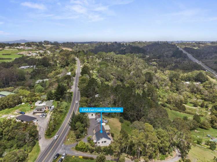 1258 East Coast Road Redvale_32