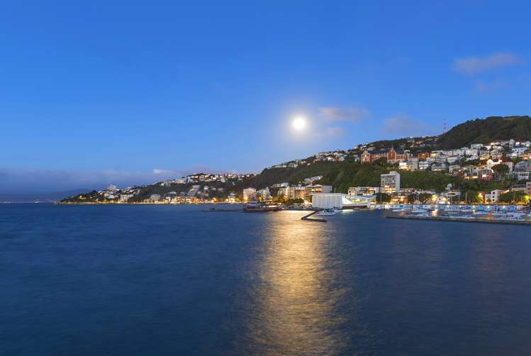 2c/5 Clyde Quay Wharf Te Aro_9