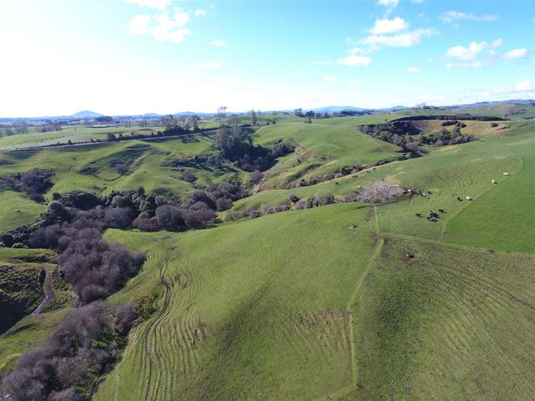 538 Puketawai Road Otorohanga_13