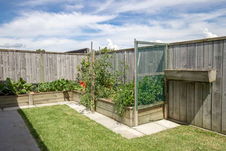 7 Costello Drive Ngatea_19