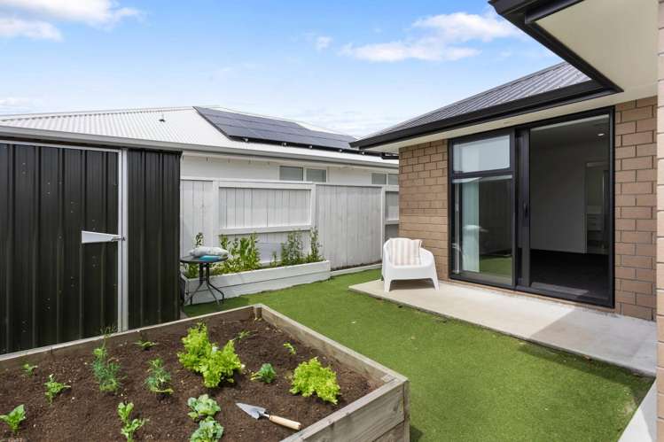 3 Cotula Way Papamoa_11