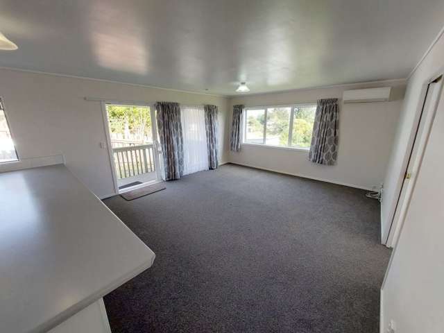 431 Warspite Avenue Ascot Park_3