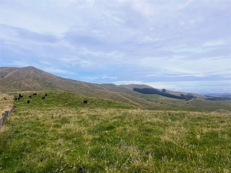 2580 Pourerere Road Central Hawkes Bay Coastal_38