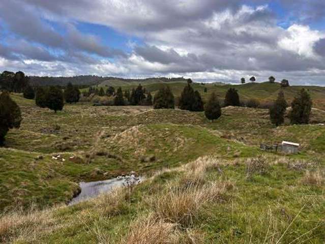 Lot Lot 3/712 Mangapapa Road Ahititi_4