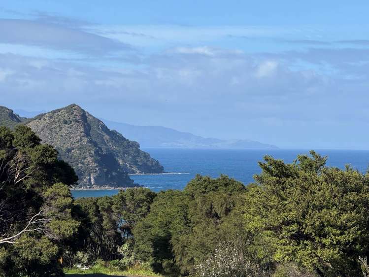 4 Iona Road Great Barrier Island_3