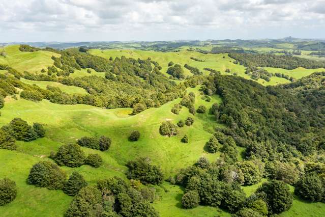 Mangarata Block Road (62.11 ha) Tangiteroria_3