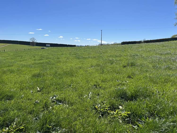 162 Bowman Road Te Awamutu_7