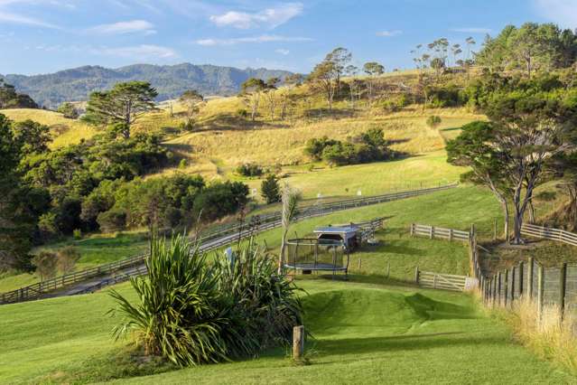 132 Dormer Road Waitoki_3