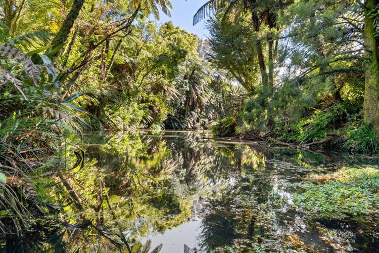 66 Kent Terrace Midhirst_27