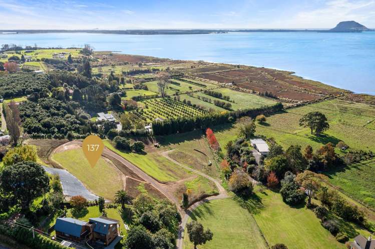 137 Lochhead Road Te Puna_11