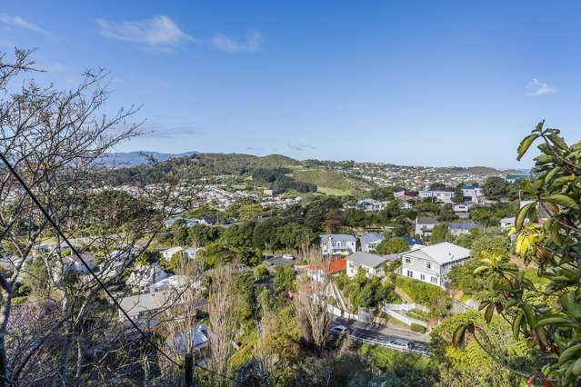 78 Farnham Street Mornington_3