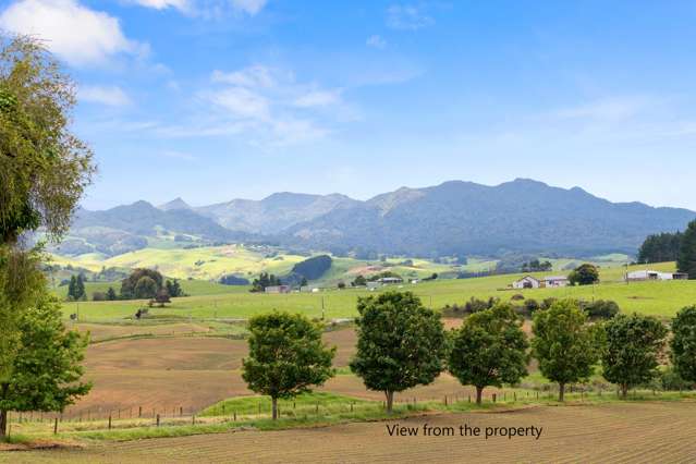 898 Ormsby Road Puketotara_2