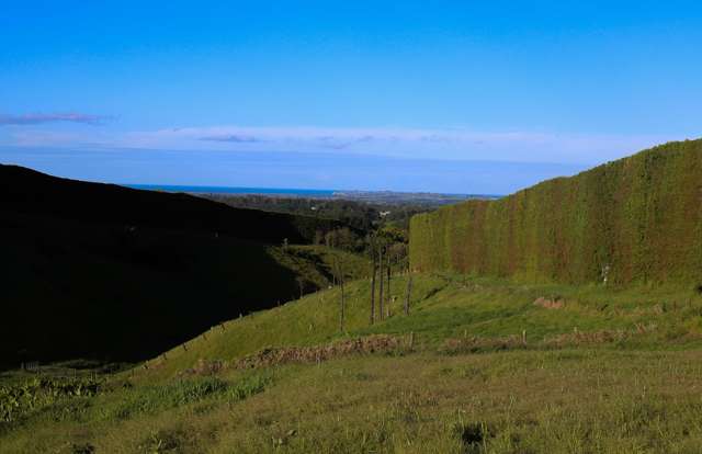 1042 Rangiuru Road Te Puke_4