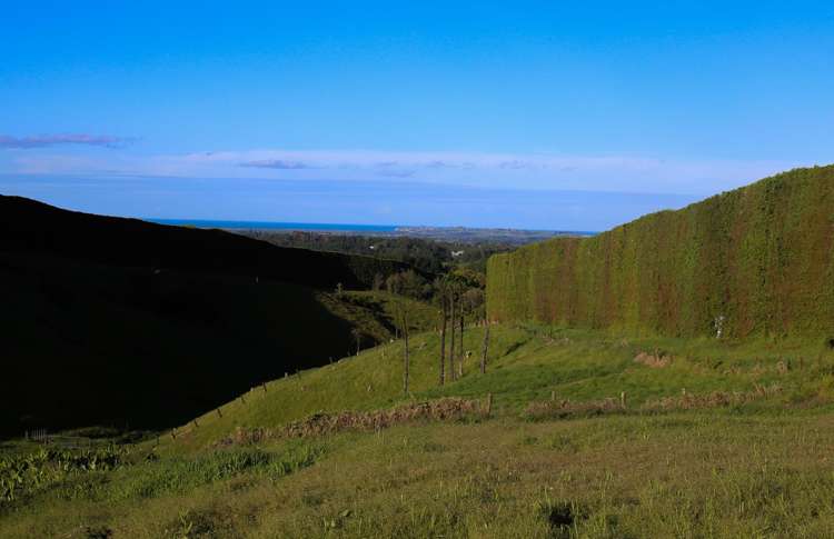 1042 Rangiuru Road_4