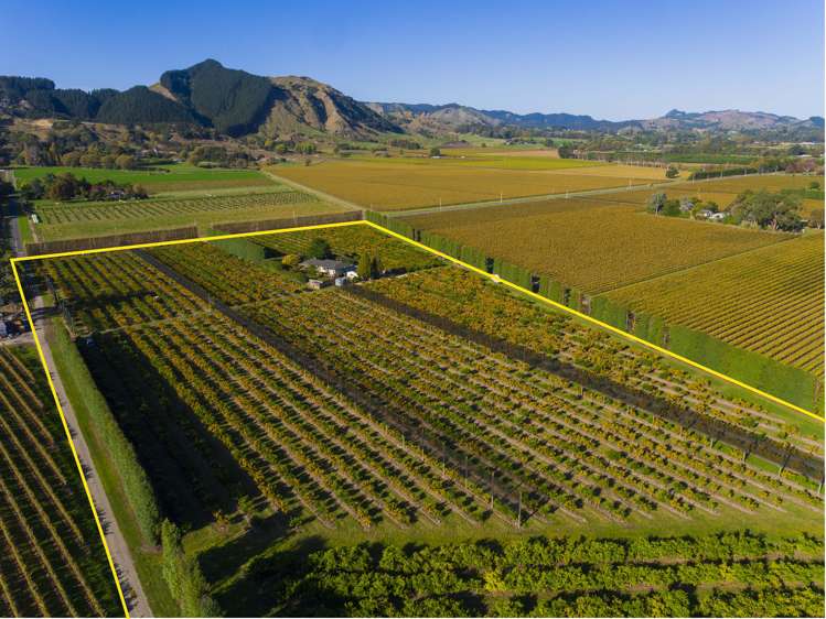 944 Back Ormond Road Makauri_0