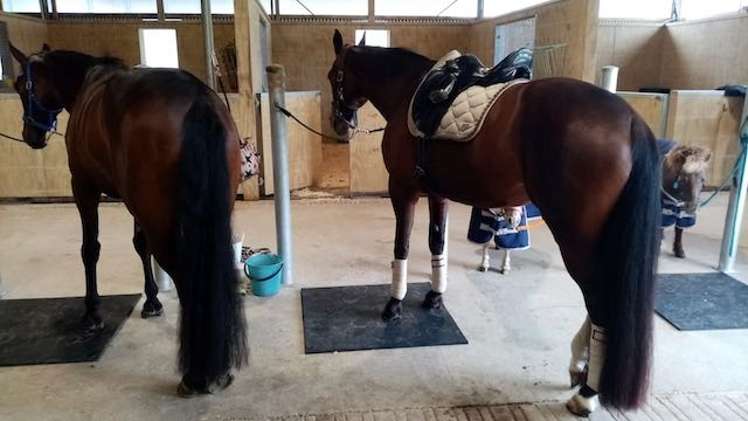 475 Ellesmere Road Lincoln_9