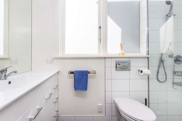 26 Roxburgh Street Mount Victoria_18