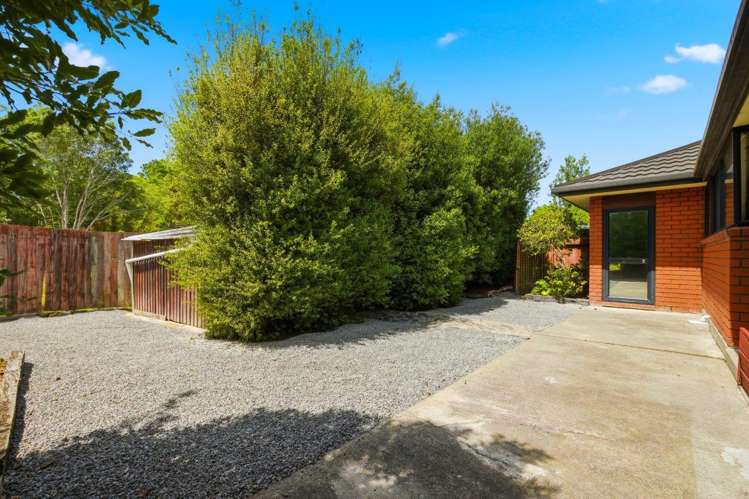 41 Douglas Road Amberley_12
