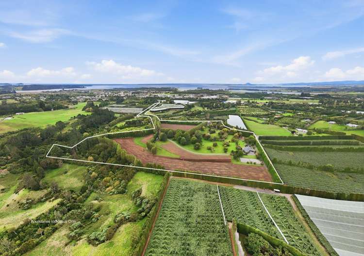 58 Rawaka Drive Katikati_33