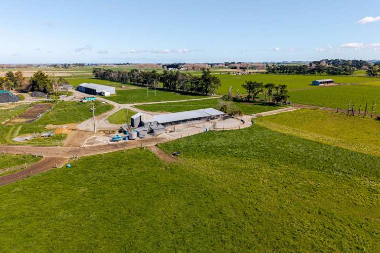 1040 Roberts Line Bunnythorpe_9