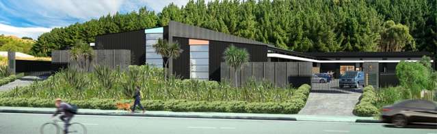 Nikau Junction - Kapiti's Premiere Business Hub