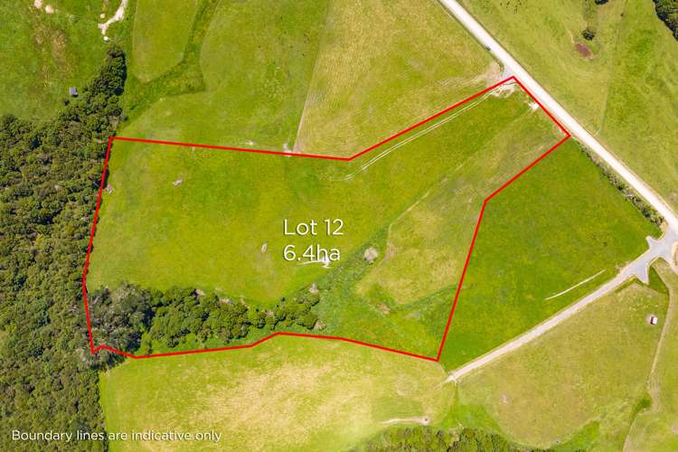 Lot 12/0n Golden Stairs Road Maungaturoto_2