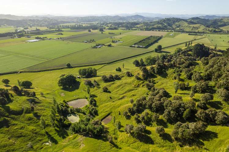 156 Bond Road Ormond_9