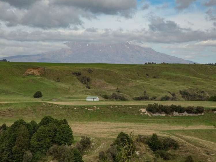 60 Bullians Road Owhango_5