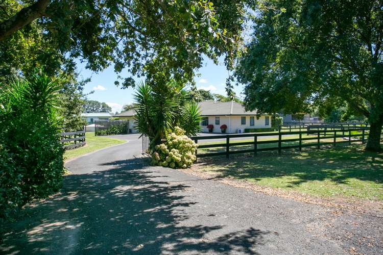 362c Pickering Road Tamahere_19