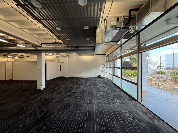 72 Dominion Road Mt Eden_1