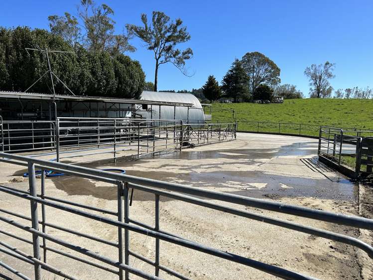 120 Pamotumotu Road Maihiihi_11