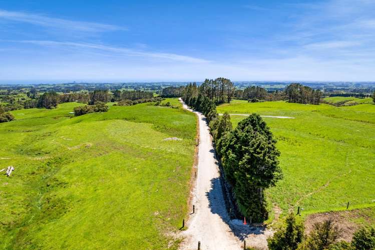 1627 Mangorei Road Korito_10