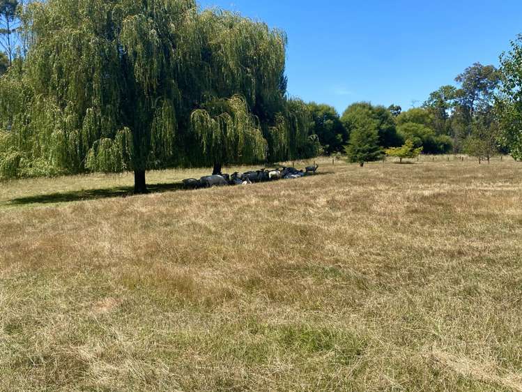 11 Horton Road Tasman_20