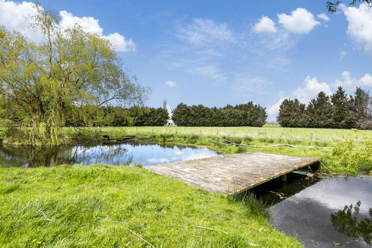 86 Mold Street Middlemarch_13