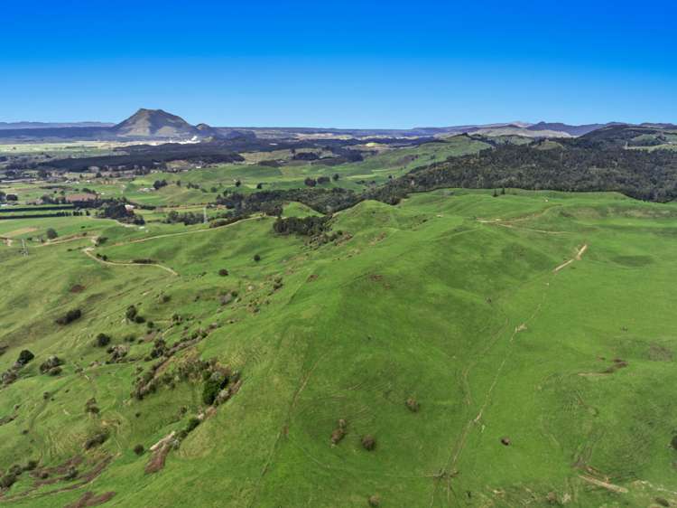 950 Braemar Road Rotoma_8