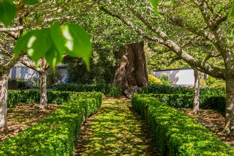 977 Kakariki Road Eketahuna_19