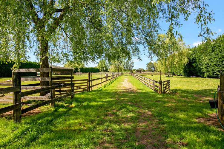 179 Hautapu Road Pukemoremore_6