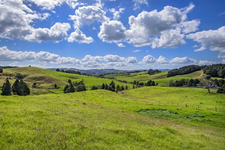 Lot 1 Oetzman Rd Hikurangi Rd2_19