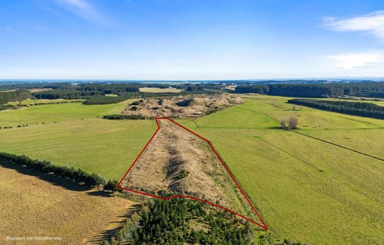 Lake Alice Road Bulls_5