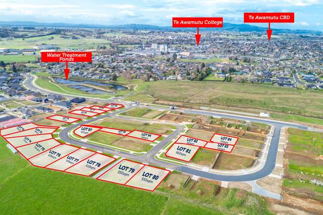 Lot 74 Pioneer Drive Te Awamutu_1