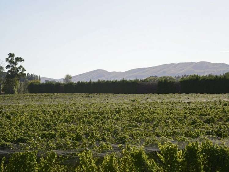 340 Gladstone Road Gladstone_6